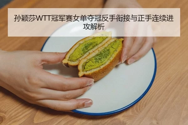 孙颖莎WTT冠军赛女单夺冠反手衔接与正手连续进攻解析